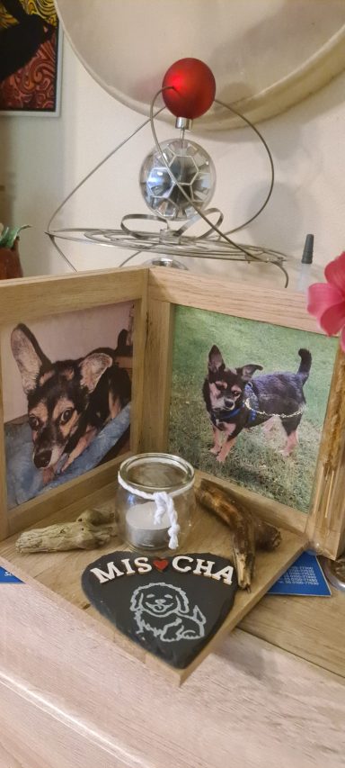 Erinnerung an Mischa