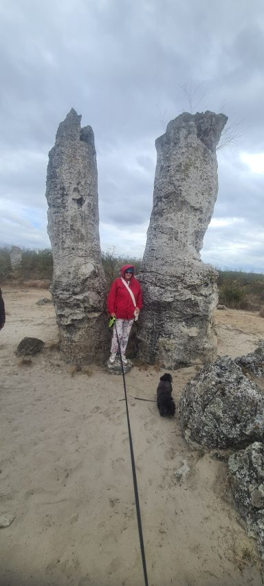 Säulen im Steinernen Meer